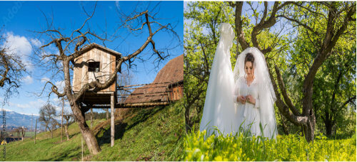 Verliebt, verlobt, verschollen